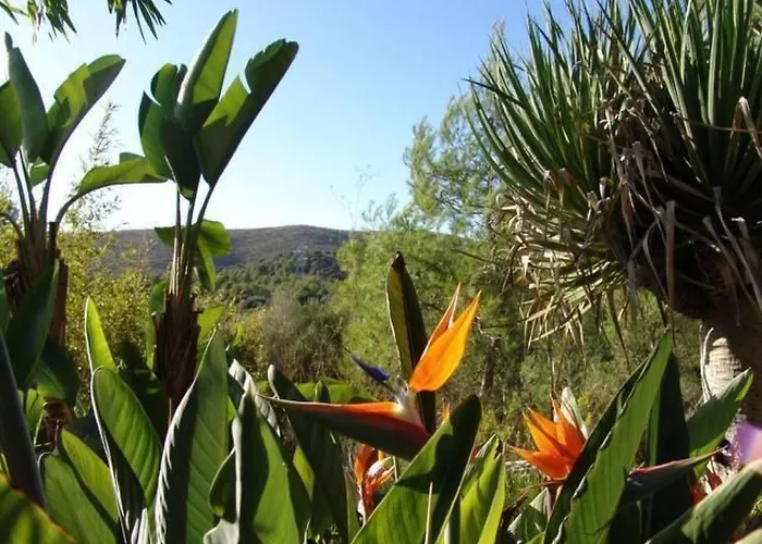 In Cala Mesquida Mit Offenem Kamin By Interhome *