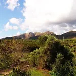 In Cala Mesquida Mit Offenem Kamin By Interhome Appartamento