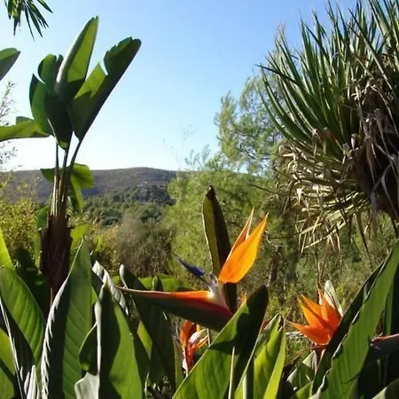 In Cala Mesquida Mit Offenem Kamin By Interhome *