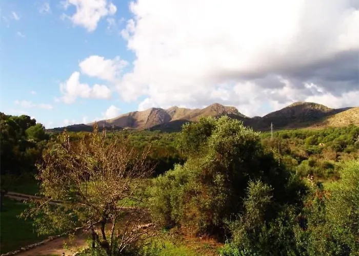 In Cala Mesquida Mit Offenem Kamin By Interhome Appartement
