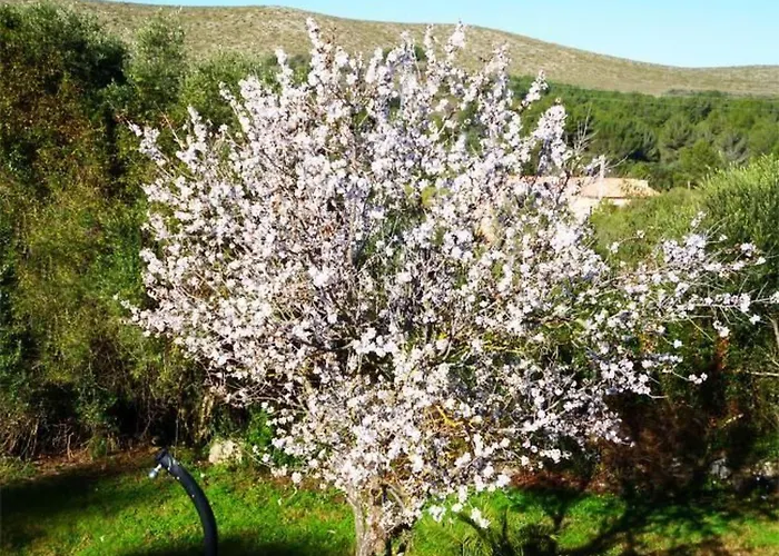 In Cala Mesquida Mit Offenem Kamin By Interhome * קאלה ראטג'אדה